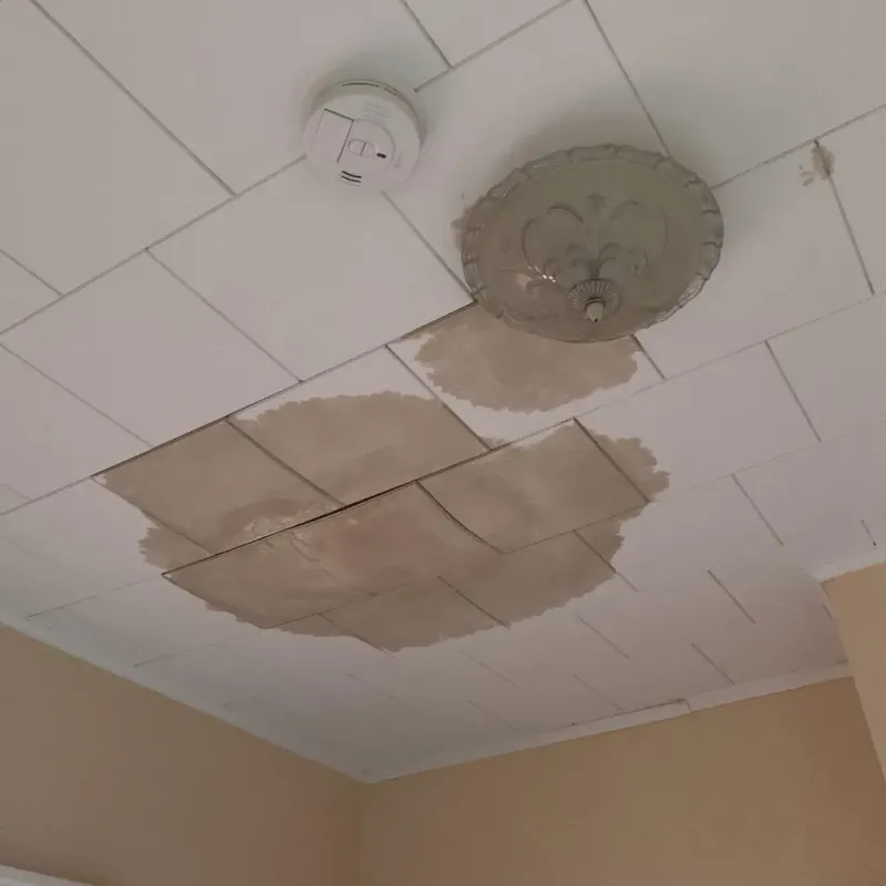 Ceiling Water Damage Repair in North Canton, OH