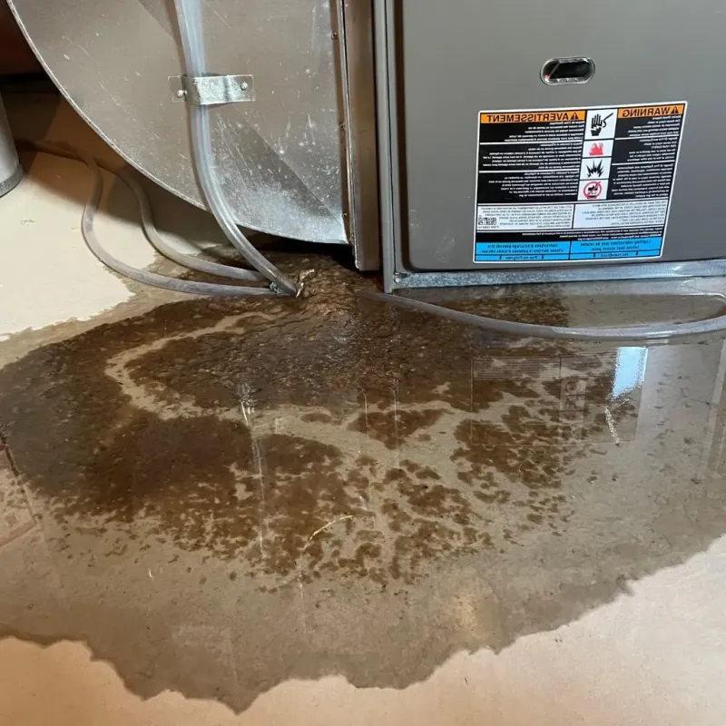 Pipe Burst and Leak Restoration in North Canton, OH