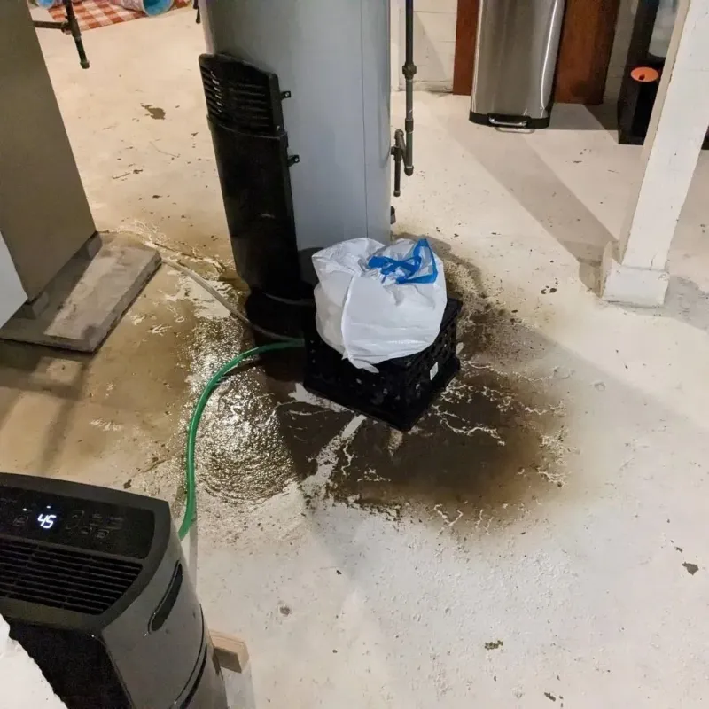 Sewage Backup Cleanup Service in North Canton, OH